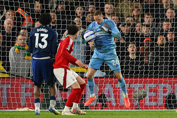 分享了自己 分享了自己