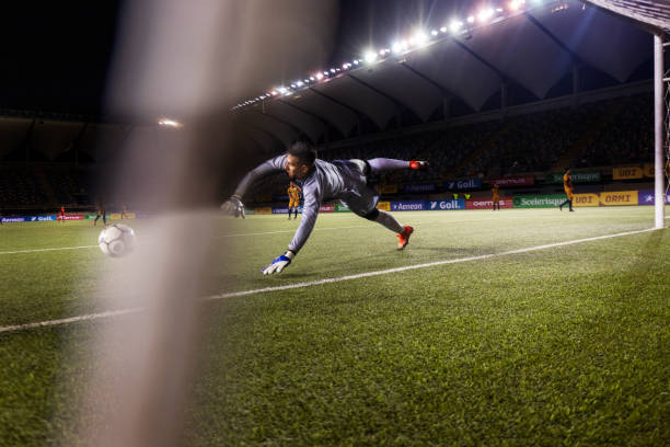 下次我们会 下次我们会