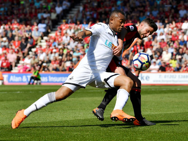 续约意向 续约意向